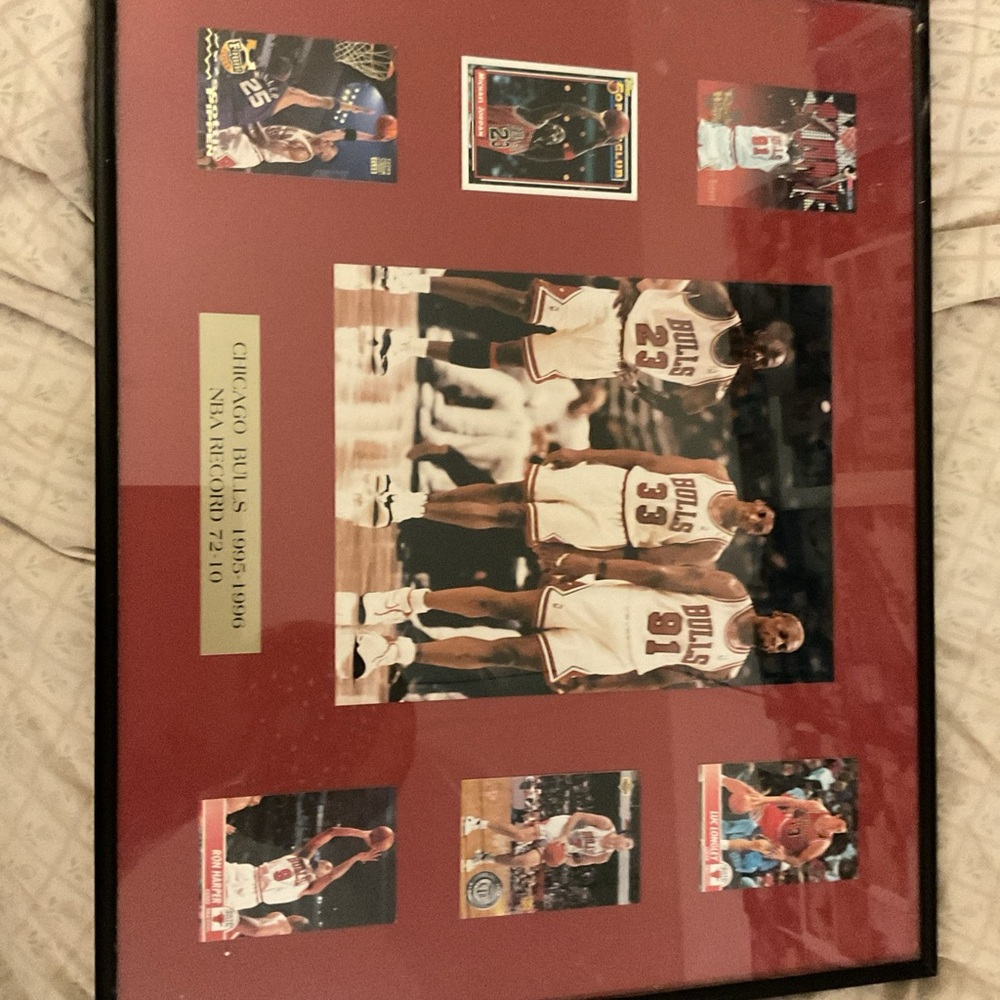 All-star champion, Chicago bulls. Michael Jordan,  Denise Rodman, Scotty Pipen.